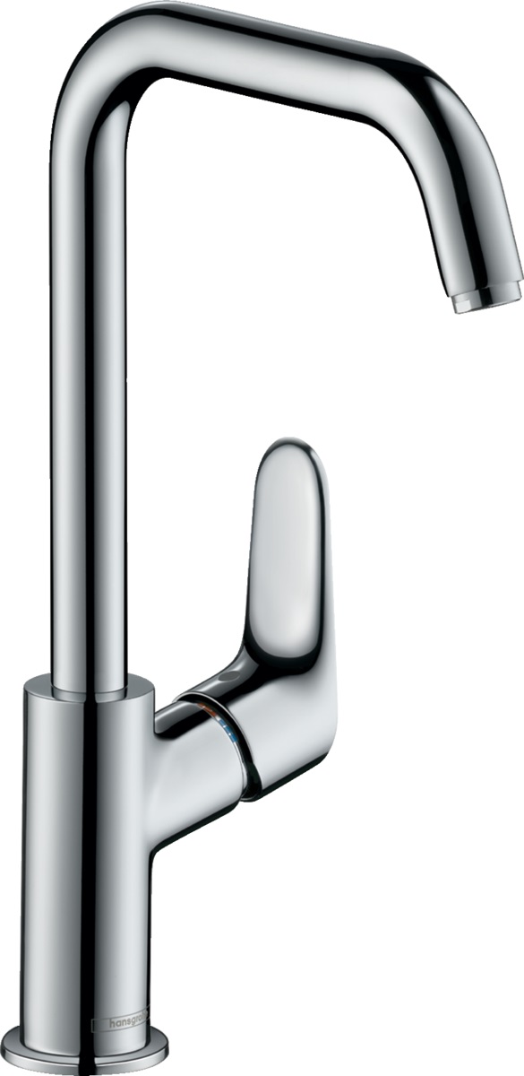 Hansgrohe Focus grifo para lavabo de pie cromo 31609000