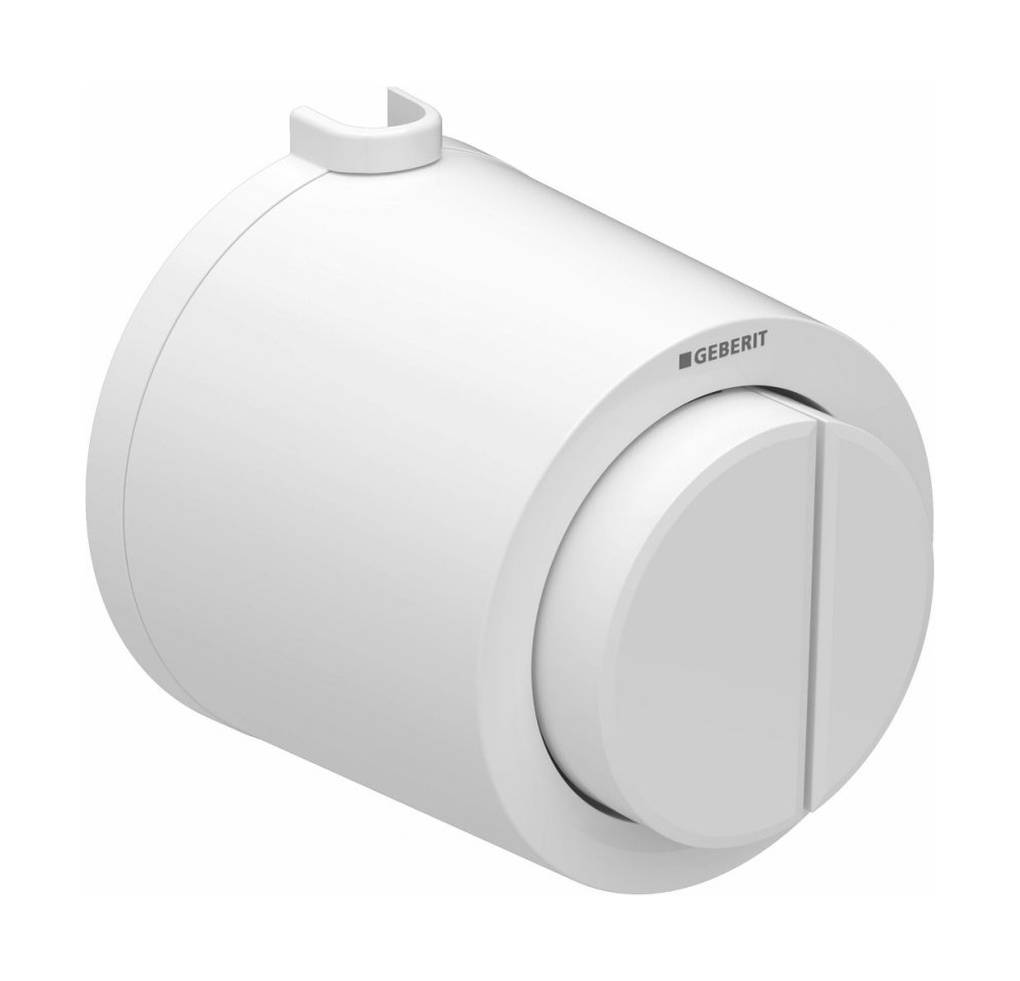 Geberit Typ 01 botón de descarga para WC blanco 116.049.11.1