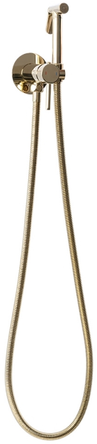 Rea Loop grifo para bidé empotrado oro REA-B8979