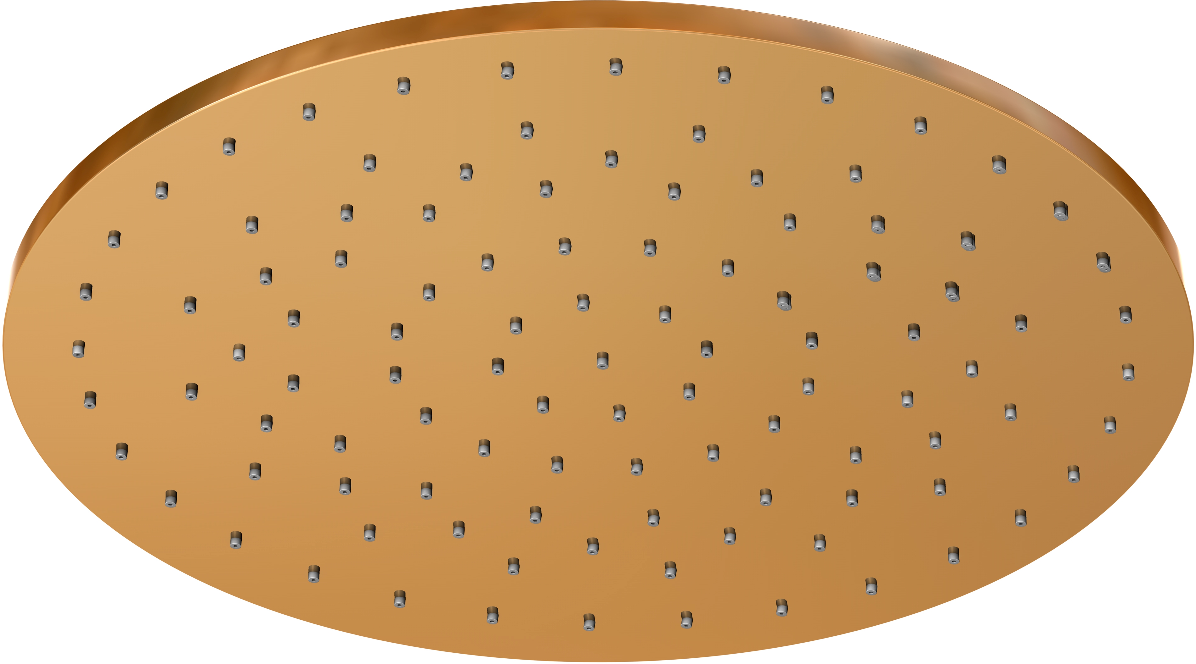 Steinberg 100 ducha con efecto lluvia 30x30 cm circular || 1001688RG