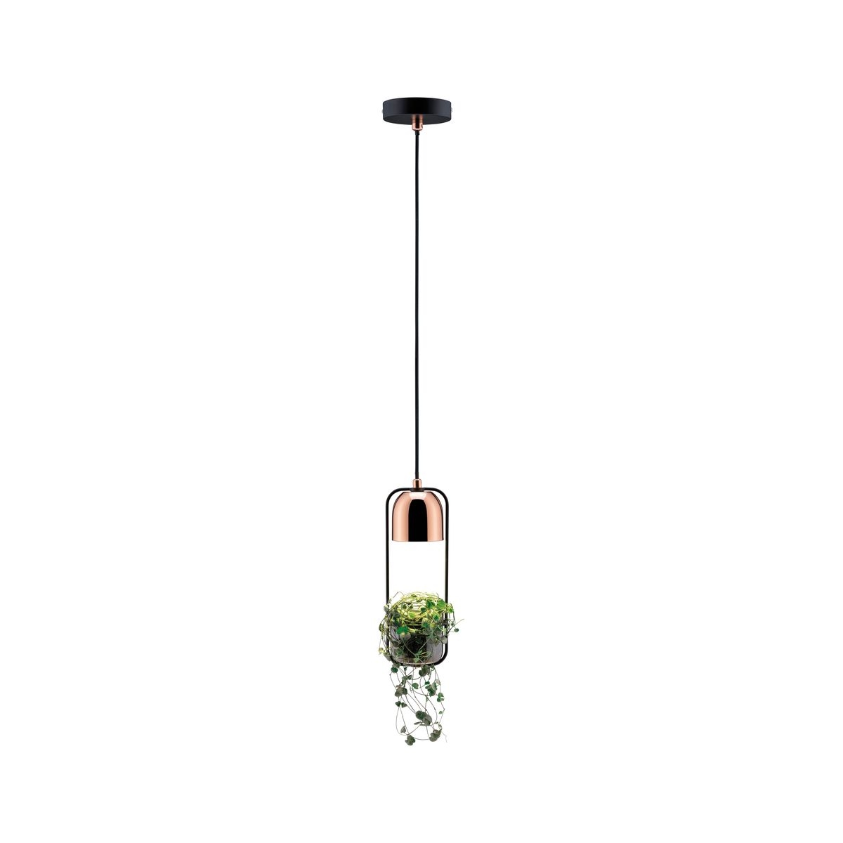 Paulmann Neordic lámpara colgante 1x20 W negro-cobre 79749