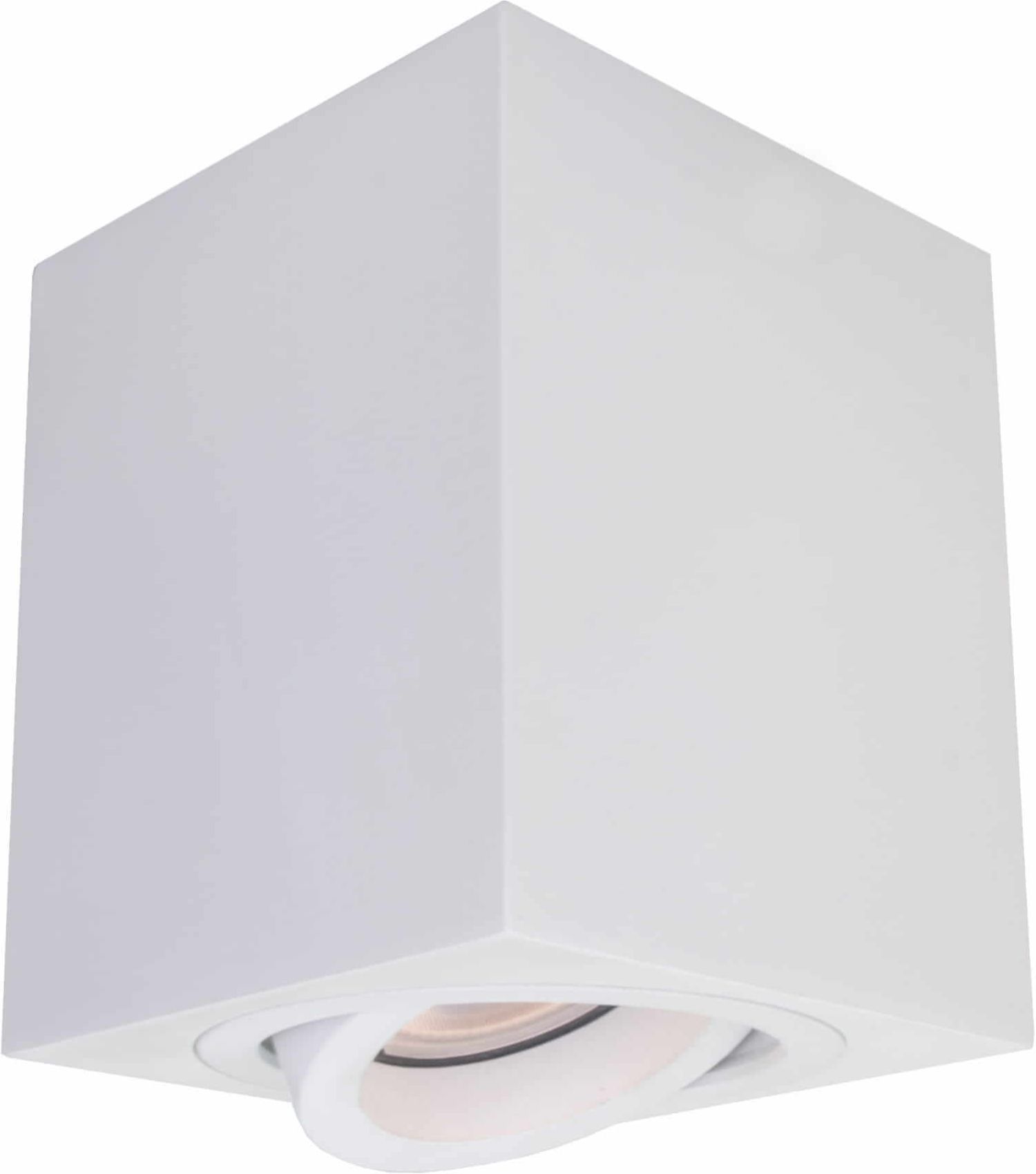 Light Prestige Lyon lámpara de techo 1x50 W blanco LP-5881/1SMWH