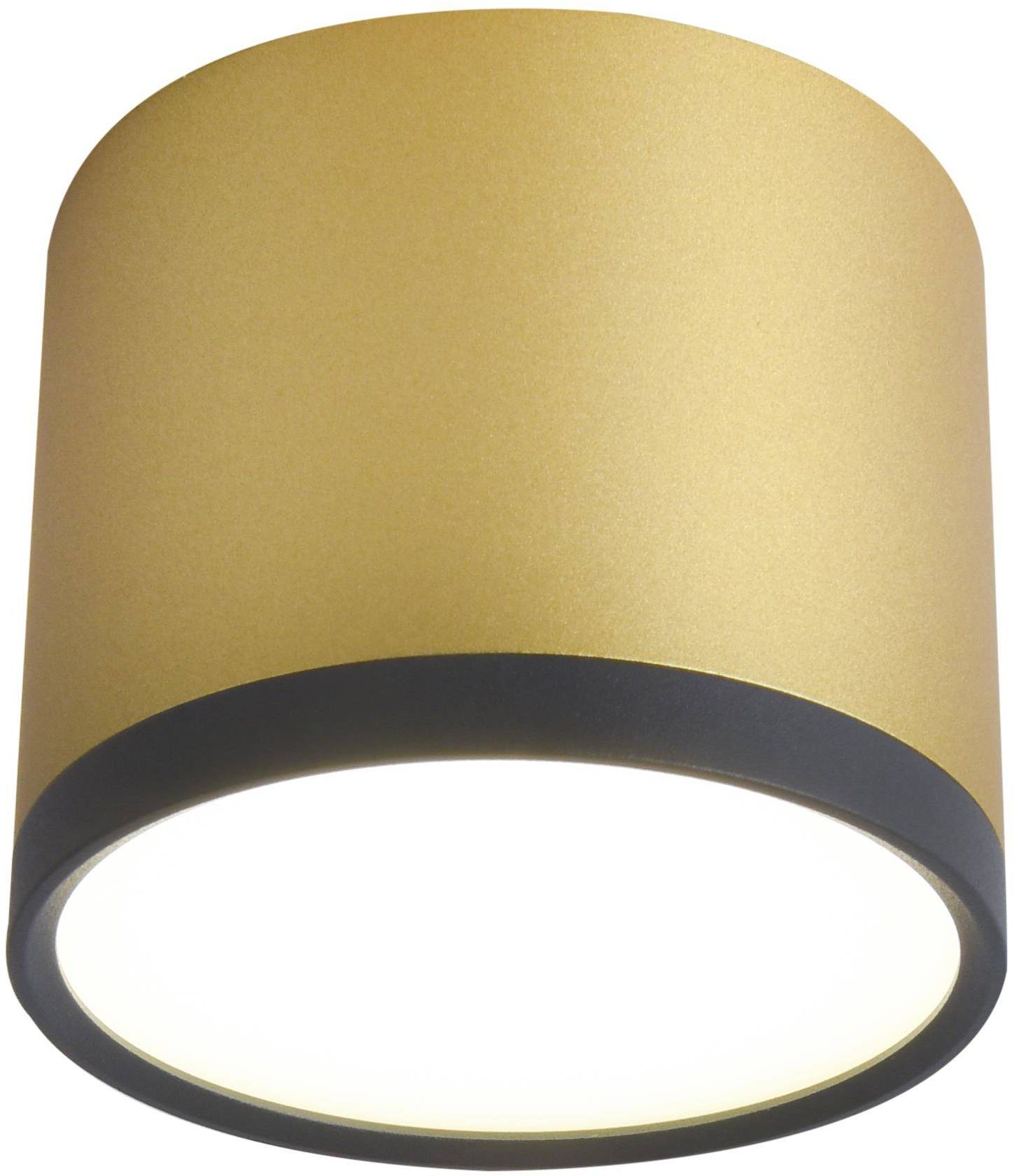 Candellux Tuba lámpara de techo 1x9 W negro-dorado 2275956