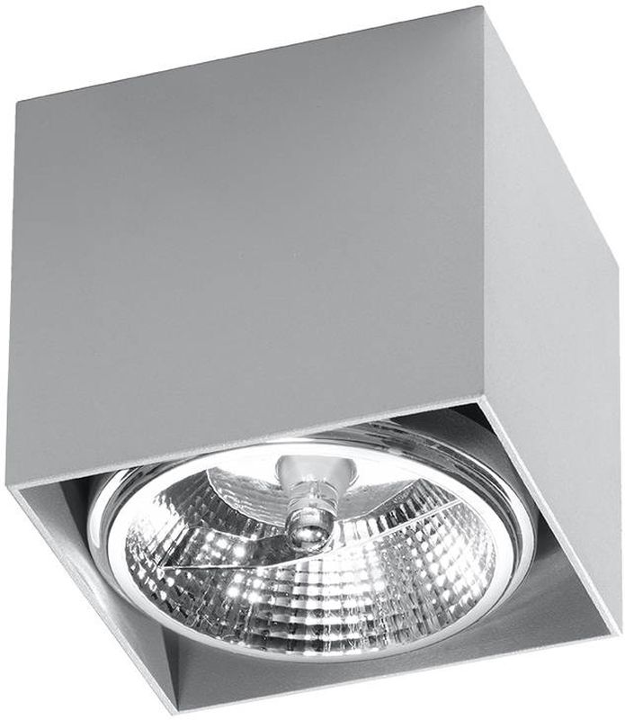 Sollux Lighting Blake lámpara de techo 1x40 W gris SL.0699