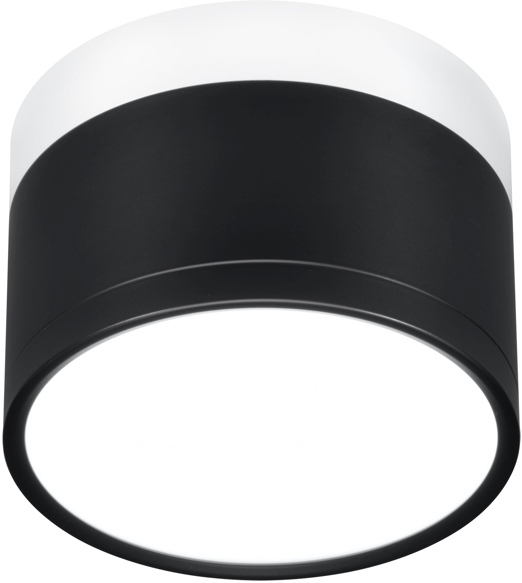 Candellux Tuba lámpara de techo 1x9 W blanco-negro 2273716