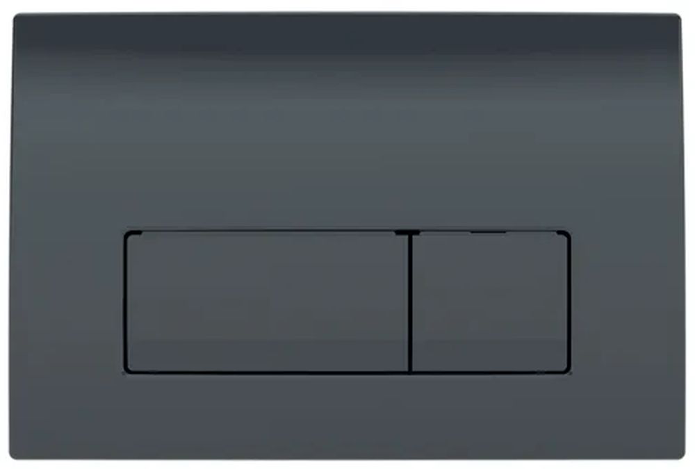 Geberit Delta botón de descarga para WC negro 115.119.DW.1
