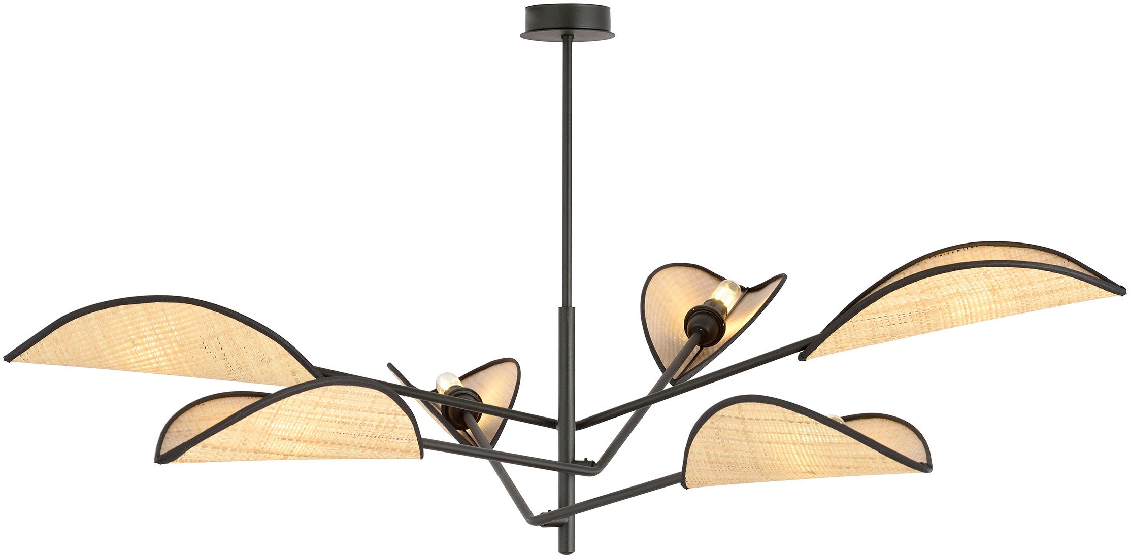 Emibig Vene lámpara de techo 6x10 W negro-beige 1160/6