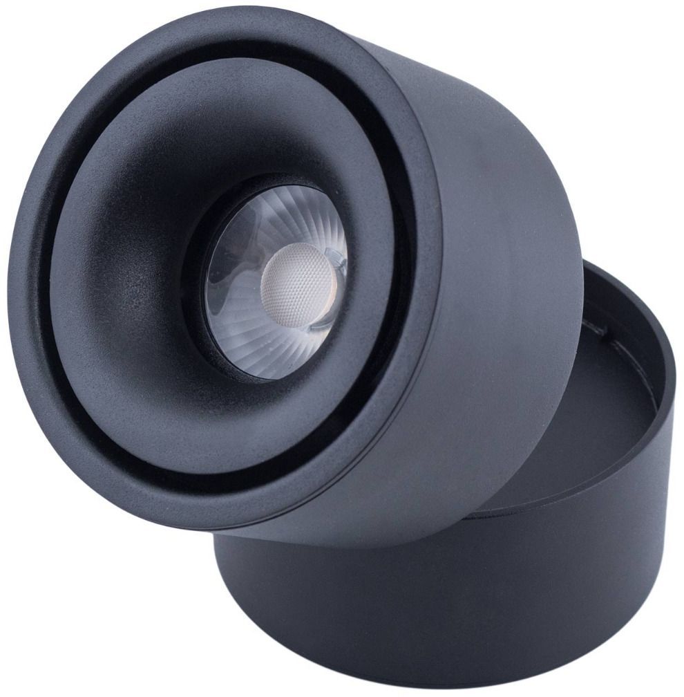 Abigali Commercial lámpara de techo 1x12 W negro MZTD-B-12-20WW