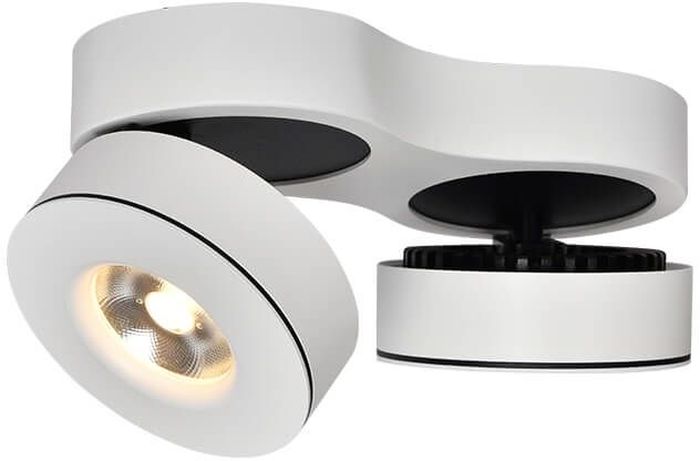 Abigali Commercial lámpara de techo 2x12 W blanco ONBL12WW-2