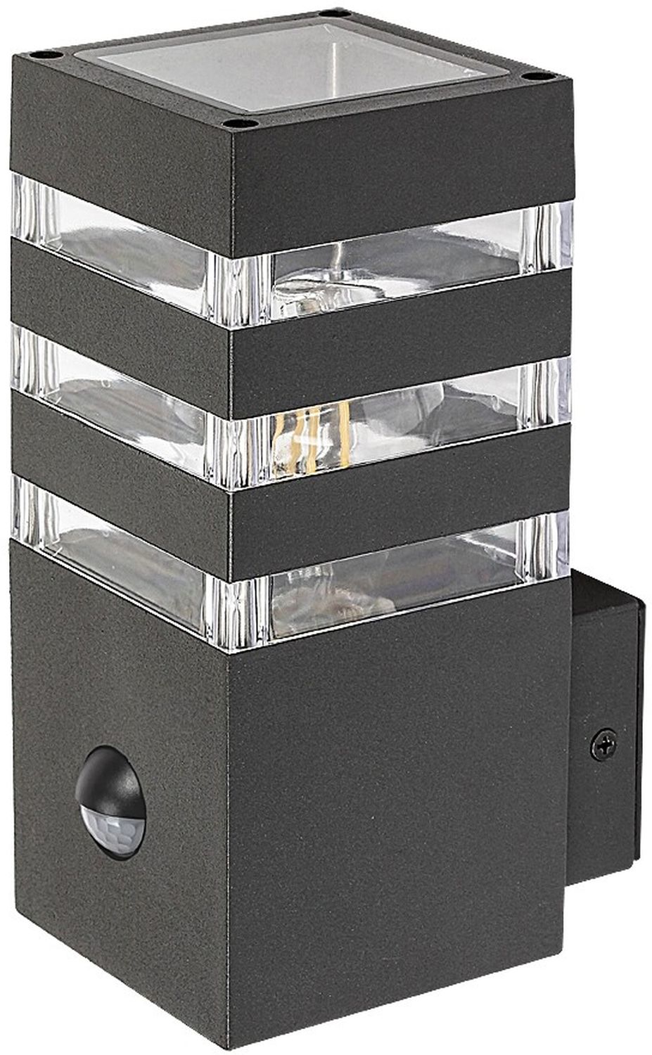 Rabalux Ankara lámpara de pared para exteriores 1x12 W transparente-antracita 77025