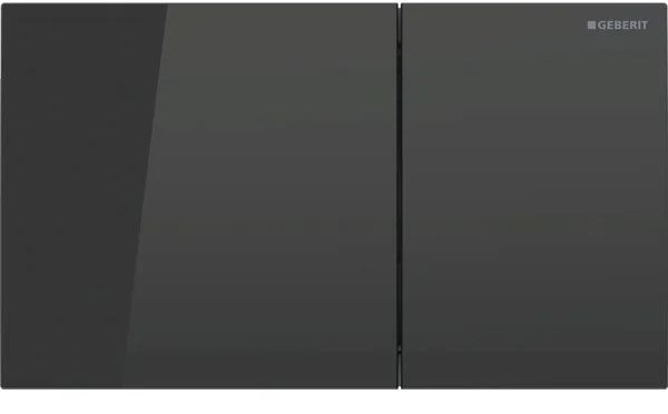 Geberit Sigma botón de descarga para WC negro 115.622.SJ.1