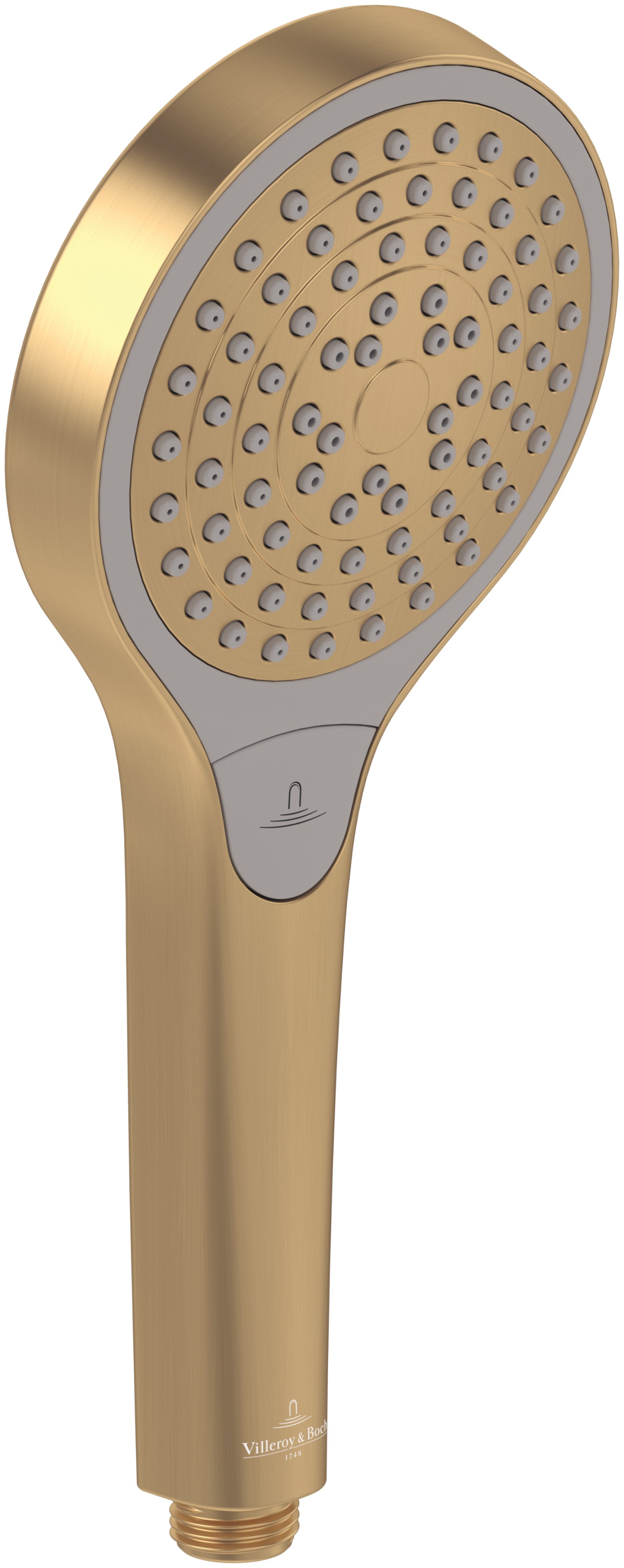 Villeroy & Boch Verve Showers alcachofa de ducha oro TVS10900100076