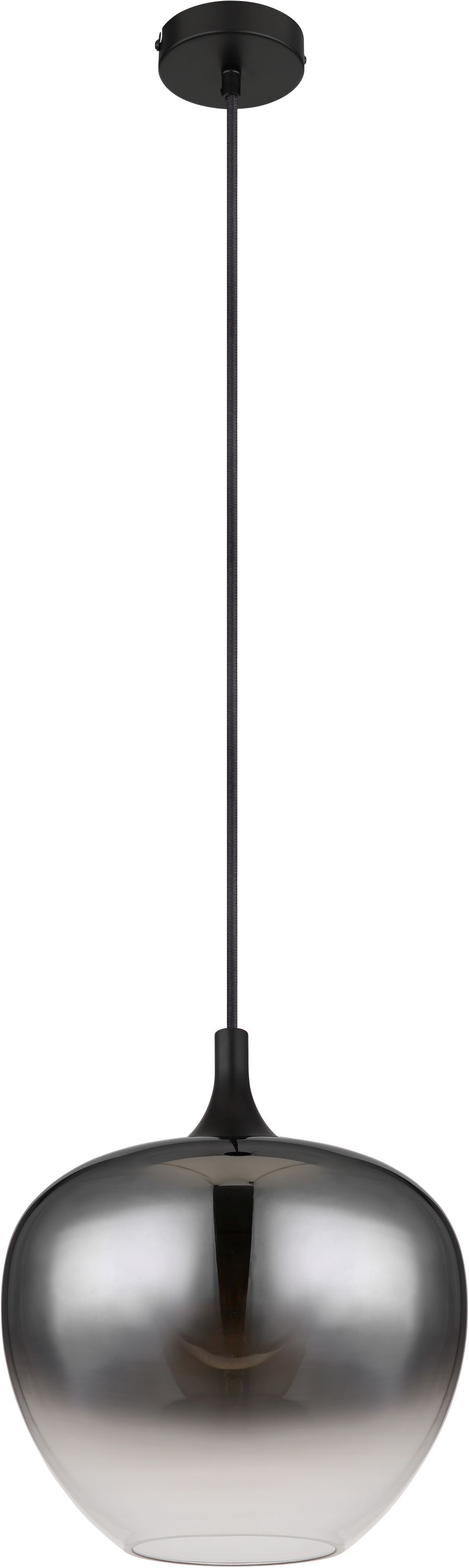 Globo Lighting Maxy lámpara colgante 1x40 W negro-humado 15548H1
