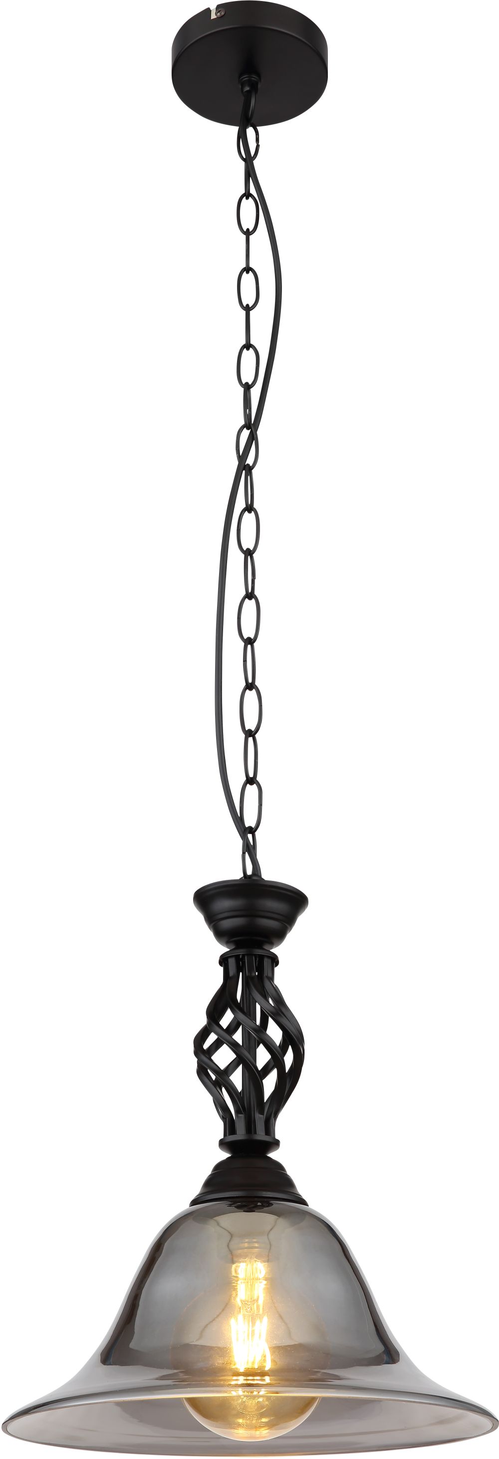 Globo Lighting Gonny lámpara colgante 1x60 W negro-humado 60298H