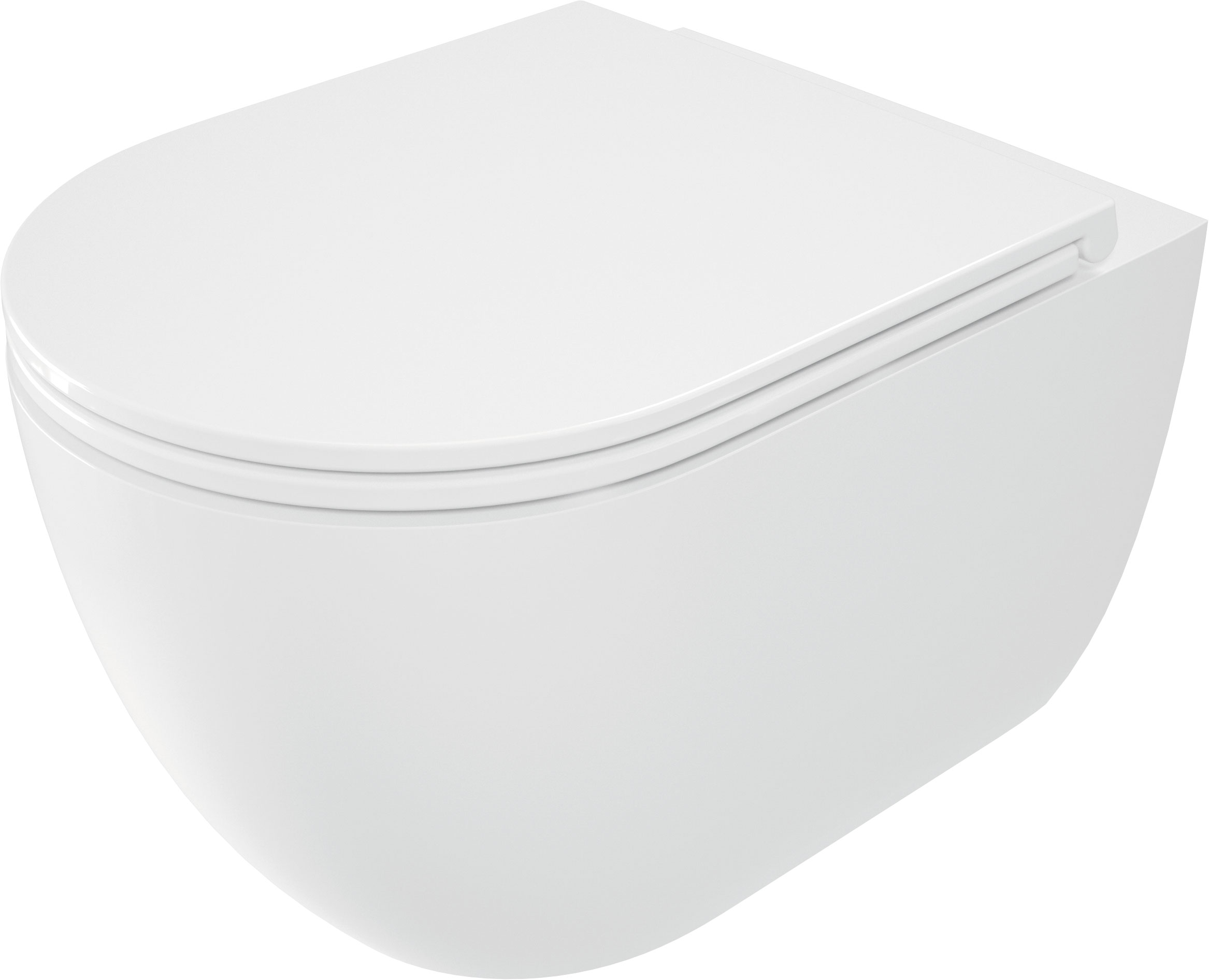 Deante Round taza de inodoro con asiento de cierre suave suspendido sin reborde blanco brillante CGRD6ZPW