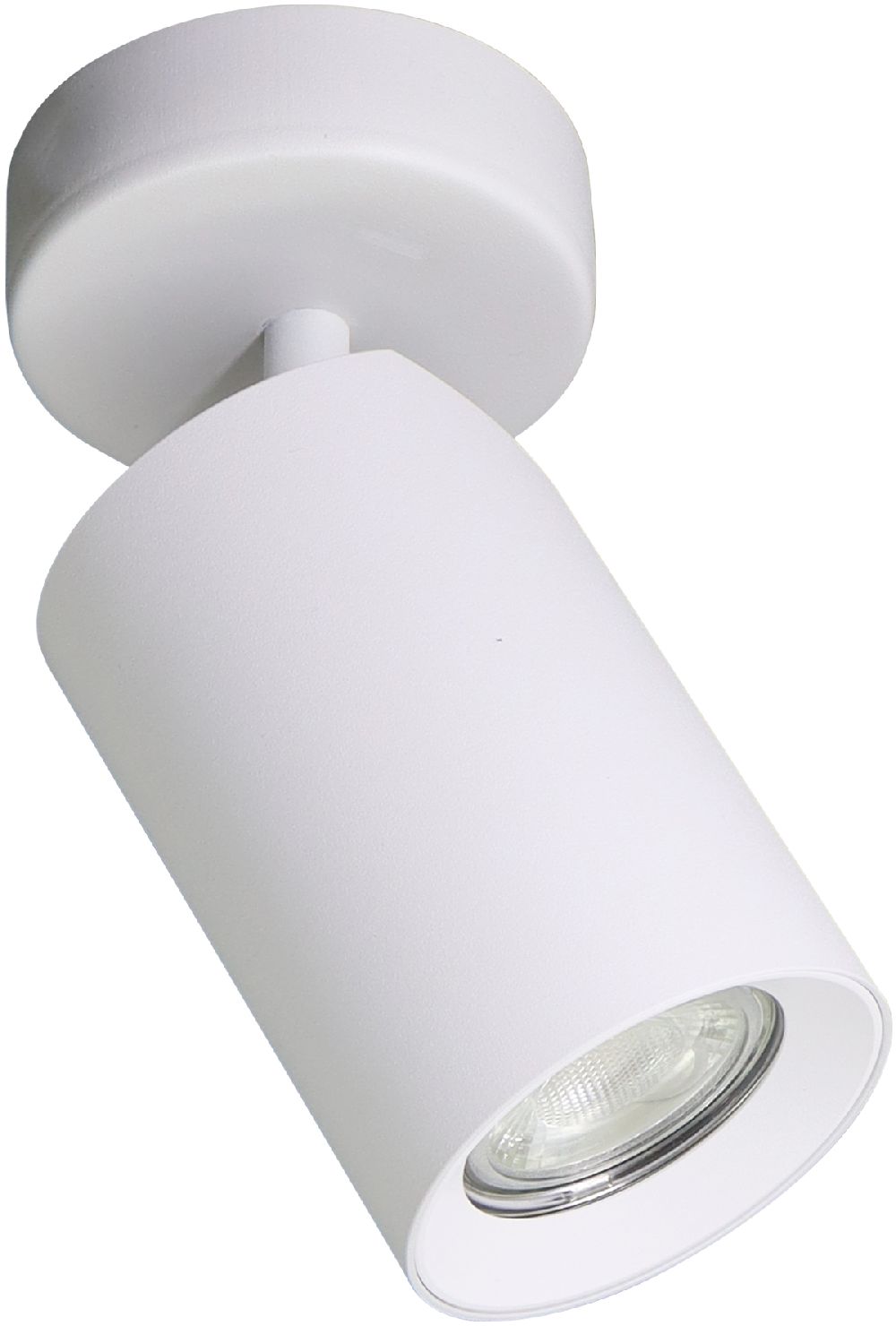 Zuma Line Tore lámpara de techo 1x50 W blanco TLS006-WH