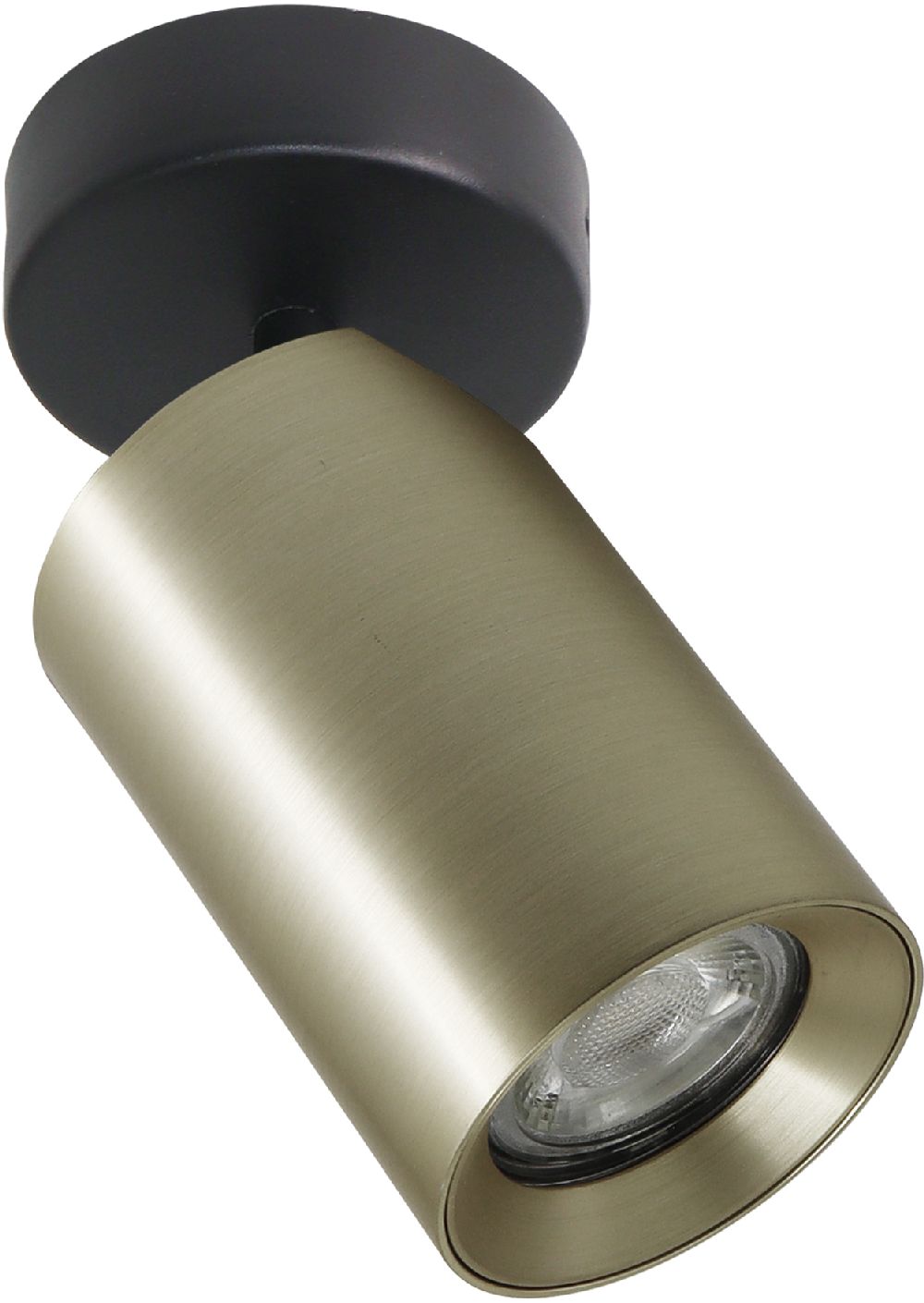 Zuma Line Tore lámpara de techo 1x50 W oro TLS006-GLD