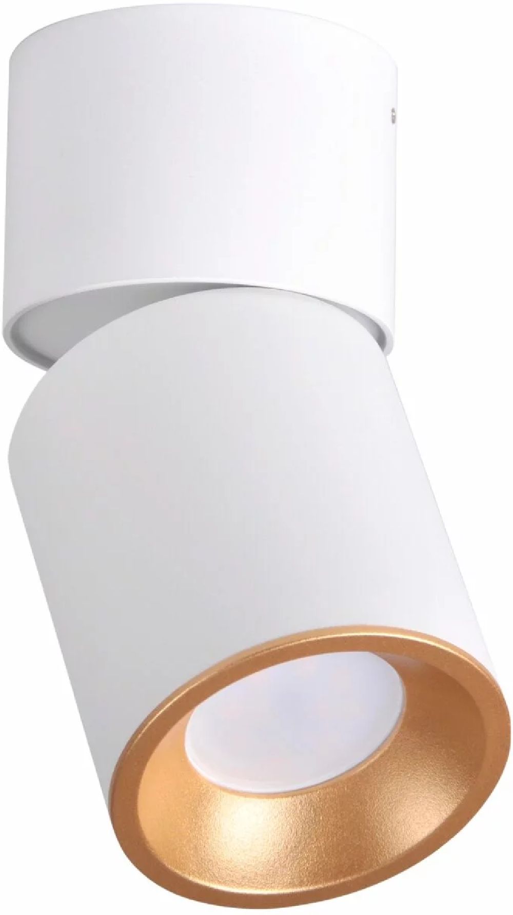 Goldlux Nixa lámpara de techo 1x10 W blanco 314260