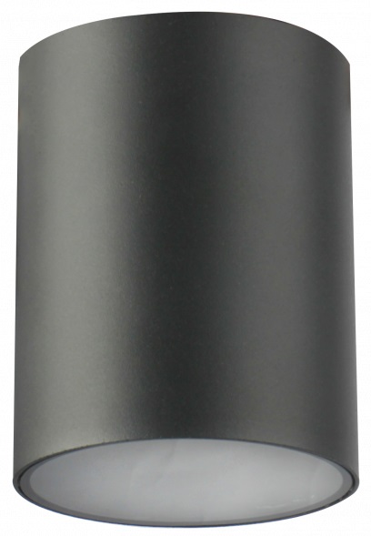 GTV Lento lámpara de techo 1x35 W grafito OS-LEN100OKG-30