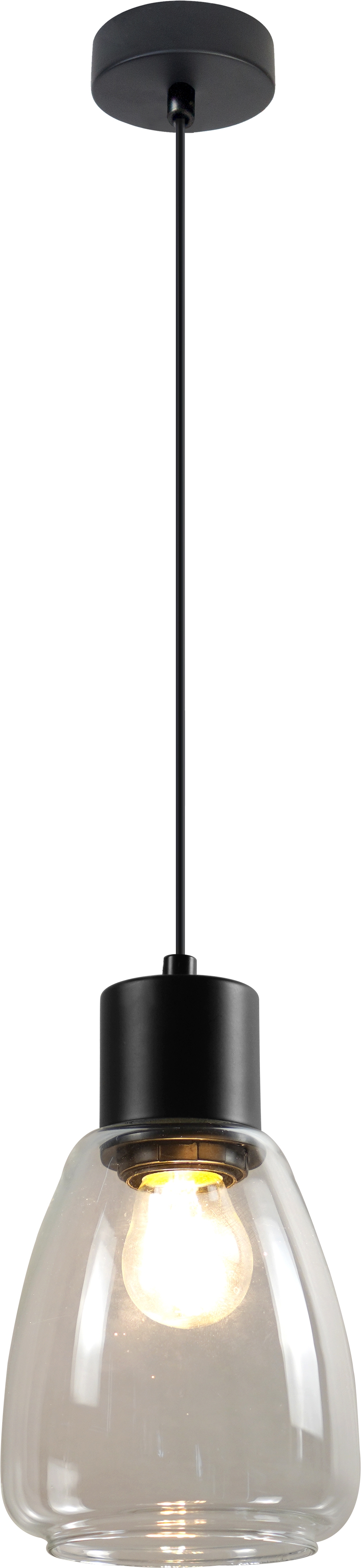 Candellux Moldo lámpara colgante 1x40 W negro-transparente 31-35066