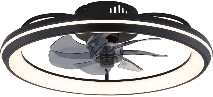 Globo Lighting Celeste lámpara de techo 1x40 W negro 03643