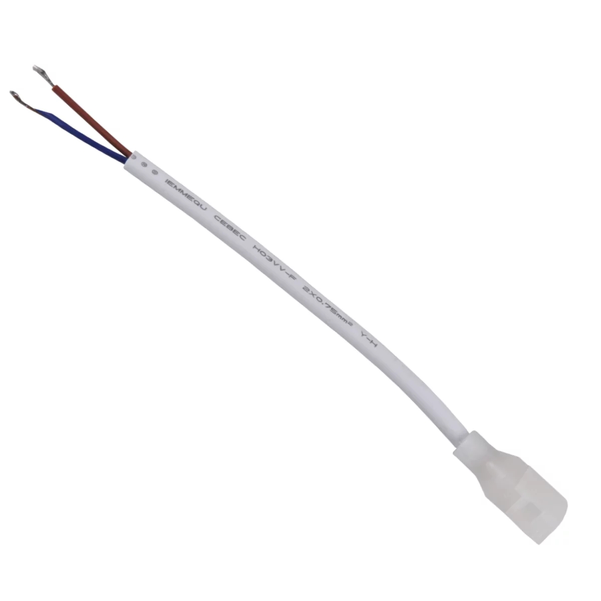 Goldlux conector eléctrico 316554