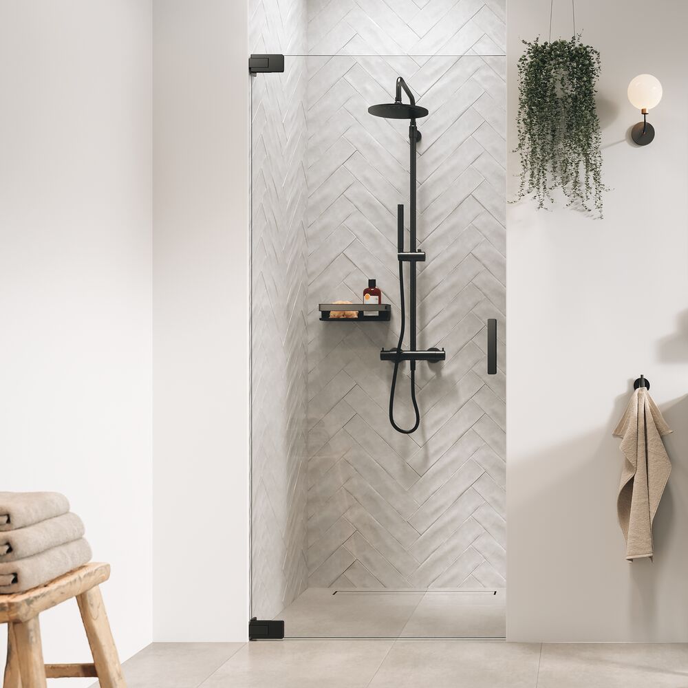 Sealskin Pure puerta de ducha 100 cm oscilante grafito cepillado/vidrio transparente PU141006145100