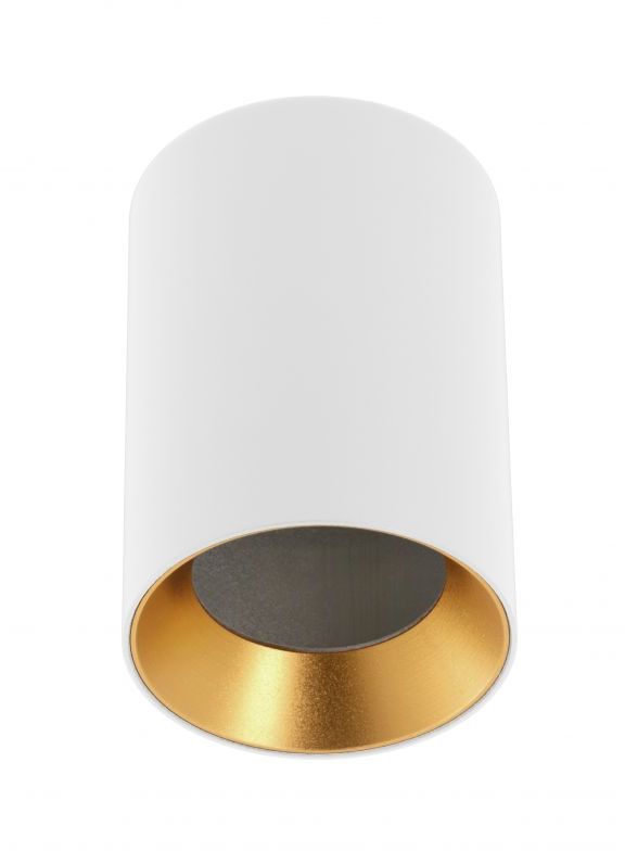 GTV Aero lámpara de techo 1x20 W blanco OS-AERD20W-10