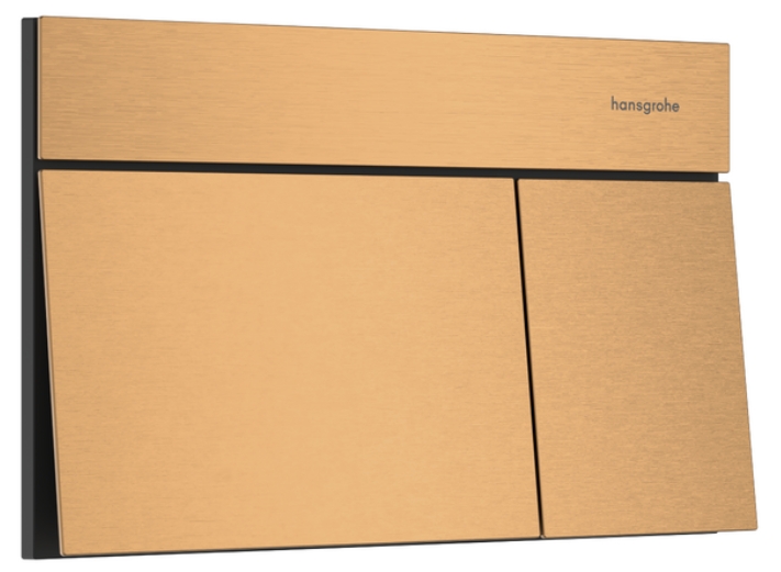 Hansgrohe Element E botón de descarga para WC || 66003140