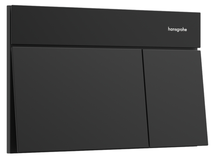 Hansgrohe Element E botón de descarga para WC negro 66003670