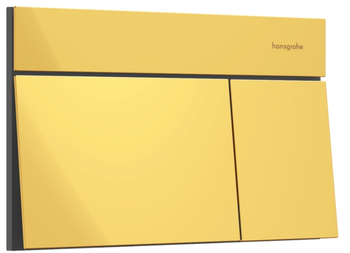 Hansgrohe Element E botón de descarga para WC oro 66003990