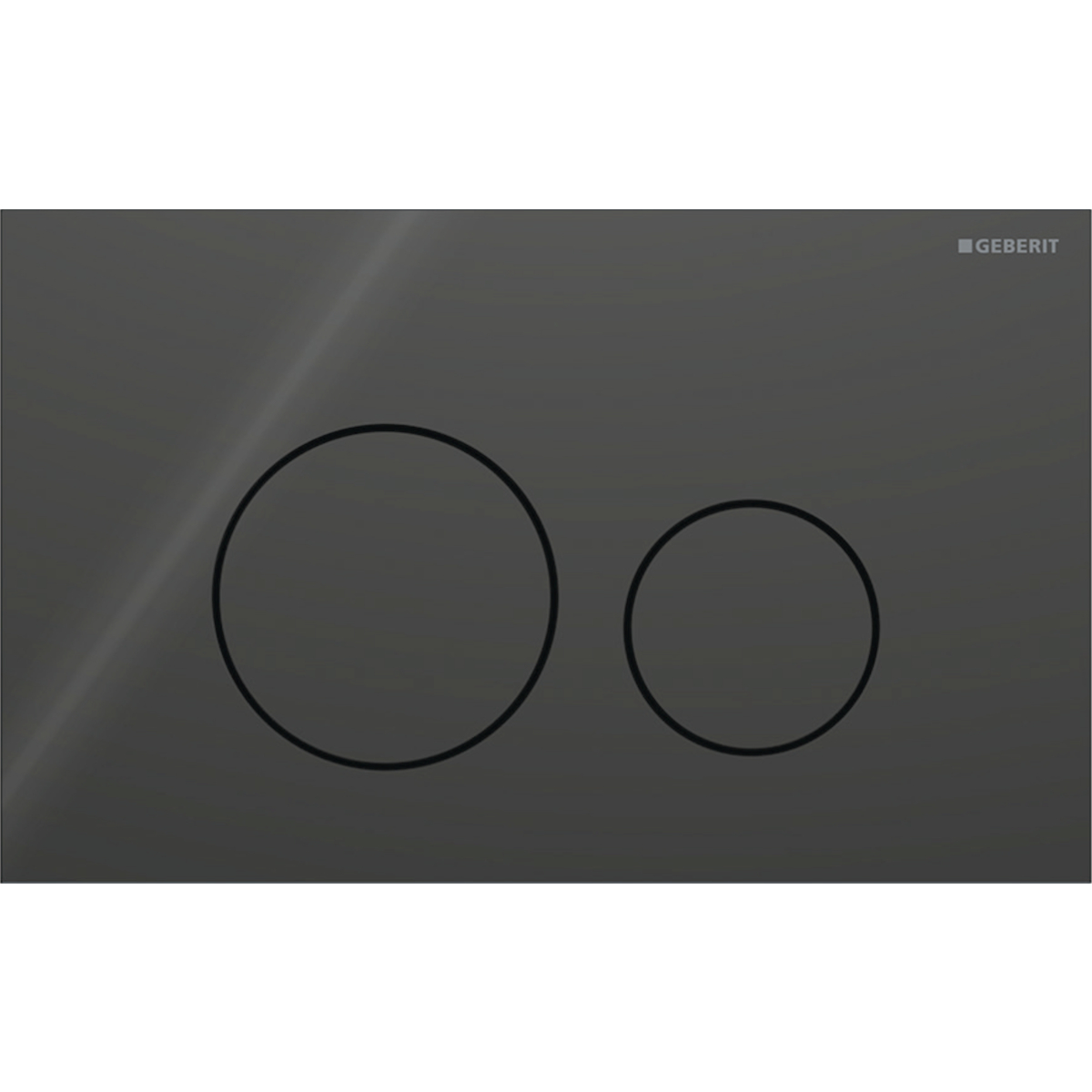 Geberit Sigma40 botón de descarga para WC negro 115.628.SJ.1