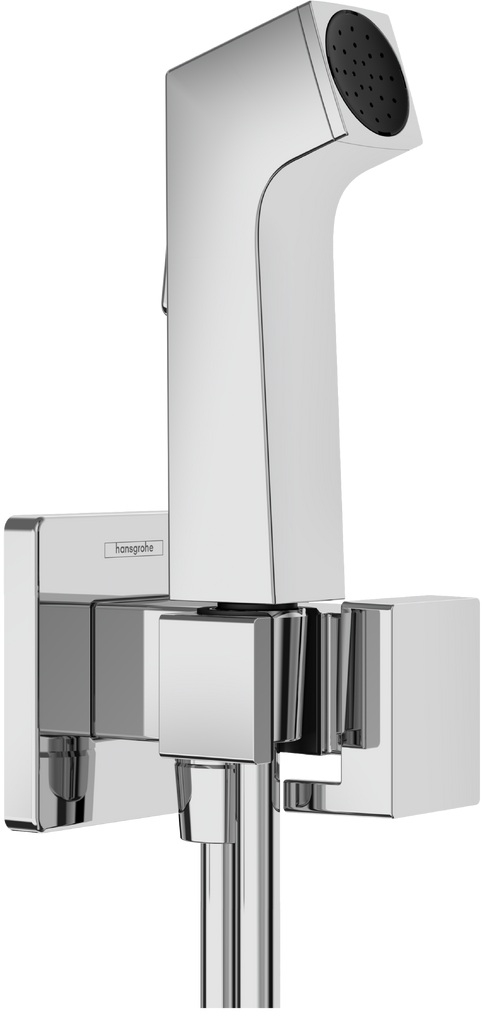 Hansgrohe Bidette conjunto de rociador para bidé a pared cromo 29231000