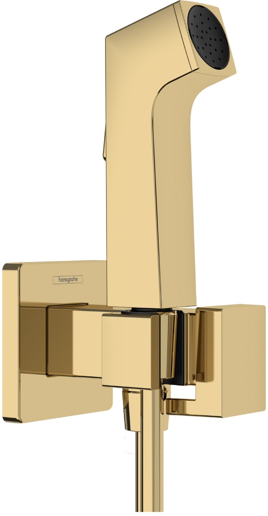 Hansgrohe Bidette conjunto de rociador para bidé a pared oro 29231990