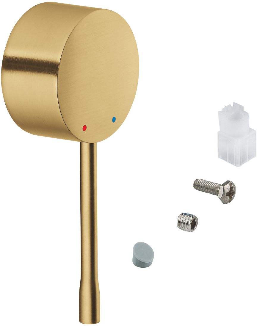 Grohe Essence New palanca 46916GN0