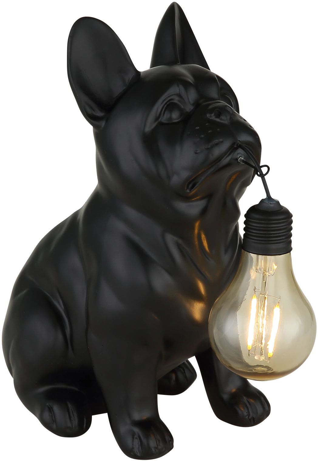 Globo Lighting Solar lámpara de pie 1x0.06 W negro 36333S