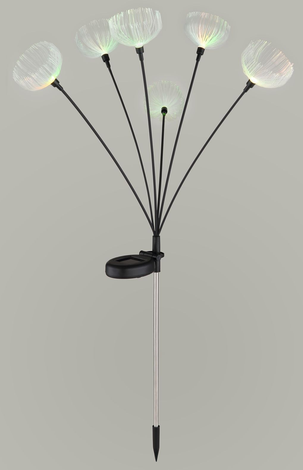 Globo Lighting Solar lámpara solar de pie 6x0.1 W transparente 36091