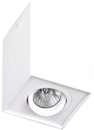 MaxLight Basic lámpara de techo 1x50 W blanco C0070