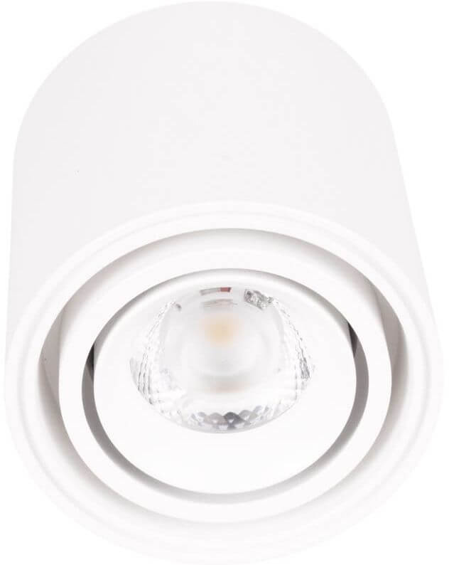 MaxLight Fix lámpara de techo 1x6 W blanco C0256