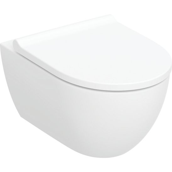 Conjunto taza de inodoro con asiento de cierre suave Geberit Acanto 502.774.00.1, marco empotrado Geberit Duofix 111.003.00.2, 111.815.00.1, 156.050.00.1
