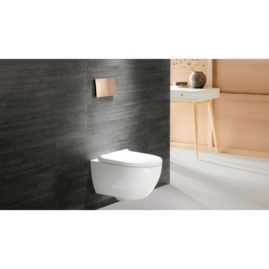 Conjunto taza de inodoro con asiento de cierre suave Geberit Acanto 502.774.00.1, marco empotrado Geberit Duofix 111.003.00.2, 111.815.00.1, 156.050.00.1