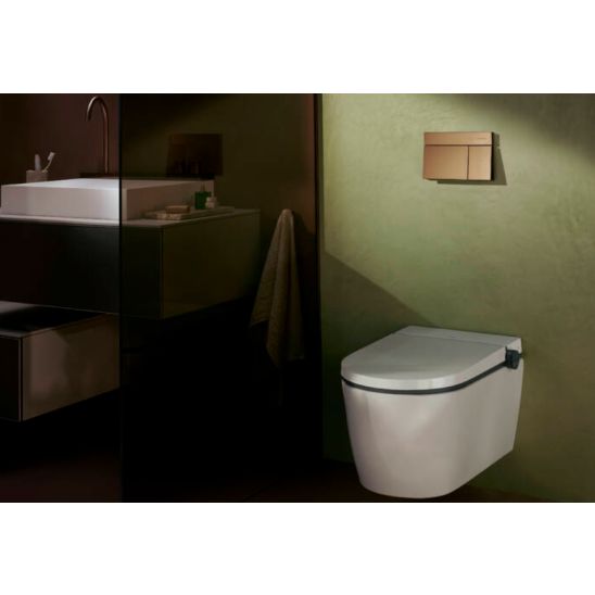 Conjunto taza de inodoro Hansgrohe EluPura S 60343450, botón de descarga Hansgrohe Element E 66003140, 01022180, 60148450