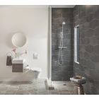 Conjunto escobilla de baño Grohe Essentials 40374001, botón de descarga Grohe Skate 38732000, 40367001, 40369001, 40365001, 40394001, 40364001