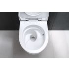 Conjunto taza de inodoro con asiento de cierre suave Geberit Acanto 502.774.00.1, marco empotrado Geberit Duofix 111.003.00.2, 111.815.00.1, 156.050.00.1