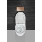 Conjunto taza de inodoro con asiento de cierre suave Geberit Acanto 502.774.00.1, marco empotrado Geberit Duofix 111.003.00.2, 111.815.00.1, 156.050.00.1