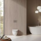 Conjunto taza de inodoro con asiento de cierre suave Kludi Resa D 24WCSET43, marco empotrado Kludi Unifix 79300