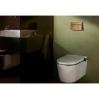 Conjunto taza de inodoro Hansgrohe EluPura S 60343450, botón de descarga Hansgrohe Element E 66003140, 01022180, 60148450