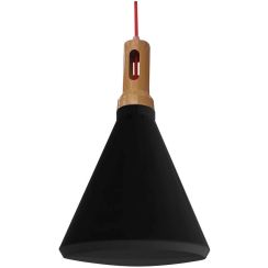 Candellux Robinson lámpara colgante 1x60 W negro 31-10421