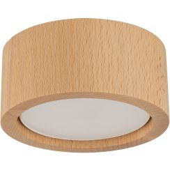 TK Lighting Eve lámpara de techo 1x11 W madera 10123