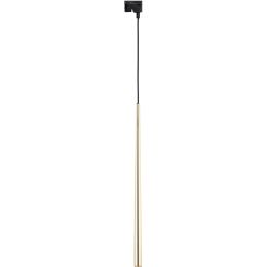 TK Lighting Tracer lámpara para riel 1x6 W oro 5750